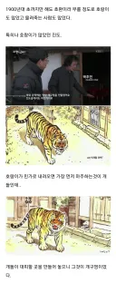 개구멍은 조선시대 수백년 전통이었다.jpg