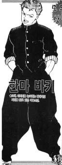 한마 바키 13세.