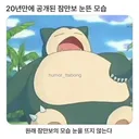 20년만에 공개된 잠만보 눈뜬 모습.jpg
