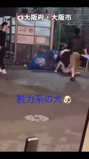 X] 오사카에서 한국여자 vs 일본여자 싸움.twt