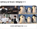 냉부)최근 본 짤중에서 가장 기억에 남는거
