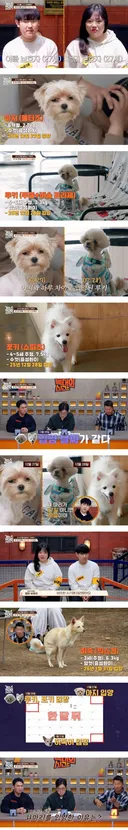 약스_개늑시2] 충격적인 역대급 에피소드.jpg