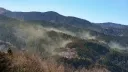 일본이 조림 사업을 하면서 한 실수