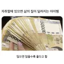 자취할 때 삶의 질이 달라지는 아이템