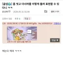트릭컬) 좀 씻고 다녀라를 이렇게 돌려 표현할 수 있다니 ㅋㅋ