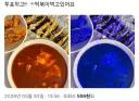 중립을 지키는 투표 후 인증.jpg