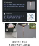 인류에게 도움이 될 수 있게 된 모기