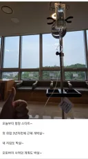 암 걸려서 수명이 늘어난 케이스.jpg