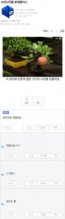 로리마망 임신 ㅂㅈ업계 충격 !!!!