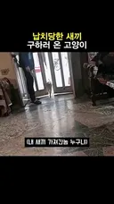 납치 당한 새끼 구하러 온 엄마냥
