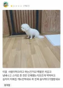 족발 후기 레전드