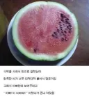 아빠한테 맞은 이유.jpg