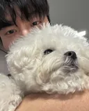 내가 보고싶어서 모아본 허남준..jpgif