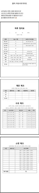 대체 어떤 아기를 키우고 싶은건지 감도 안옴