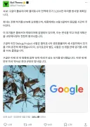 구글, 미국에 모기 3,200만 마리 풀겠다고 EPA에 허가 신청.jpg