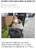 팻페어 갔는데 자기 개 때문에 창피했다는 사람.jpg
