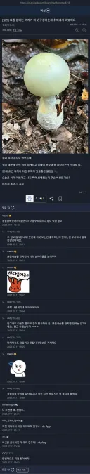 썸녀의 취미.jpg