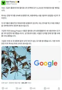 구글, 미국에 모기 3,200만 마리 풀겠다고 EPA에 허가 신청함.txt