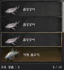 칠성상어 번식 성공!