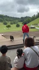 양몰이개 출동