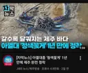 완전히 테라포밍 당한 제주도 근황 ㄷㄷㄷㄷ