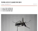 캘리포니아에 수컷 모기 3200만 마리 푸는 구글.jpg