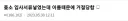 이름때문에 ㅈ소 입사를 거절당했다는 디씨인