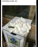 비염 환자들 현 상황.jpg