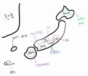 한국인이 보는 일본도시..그리고 일본인들 반박