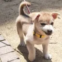 성역3 완화 할 생각하지마라