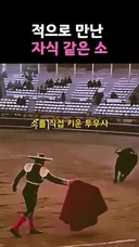 죽음의 투우장에서 주인을 만난 소