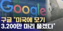 구글 : 우리 미국에 모기 3200만 마리 풀거임