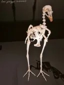 유게이들아 본계로 오래서 본계 갖고 왔다