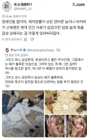 고대 무사들의 배가 불룩하게 그려지는 이유