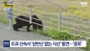 그 동안 우려했던 일이 결국 벌어지고 만 도쿄 근황