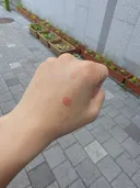 오늘은 하루종일 뒹굴거려야지