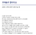 노력한 결과가 30대 모솔.jpg