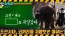 중세 유럽에선 가축 등 동물도 재판을 받았다