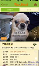 10년전 유기견을 입양했었던 사람한테 다시 연락을 해봤다