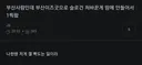 부산사람인데 부산이즈굿으로 슬로건 처바꾼게 맘에 안들어서 1찍함
