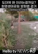 소리] 부산 생태공원 방화범 검거 현장.mp4