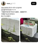 남포동에서 금손 할아버지가 만든 방아깨비