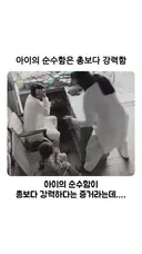 아이의 순수함은 총보다 강력하다는 증거 ㅠㅠ