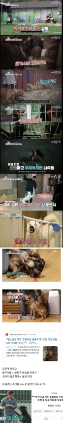 폭력견을 교육한 강형욱 교육사를 신고한 시민.jpg