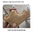 해외에서 댓글 9천 개 찍힌 난제