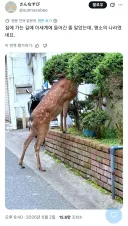 나라 꼴 잘 돌아가네 ㅋㅋㅋㅋ