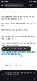 속보 고양이 사진 열장 규칙 폐지
