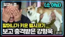 강형욱도 경악한 확대