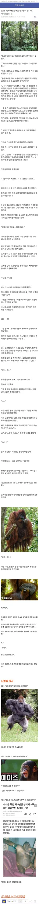"남부 대삼림에는 엘프들이 산다네"
