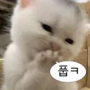 ? 저거 송파구 정떡글 북유게 형들 보라고 가서 올려드리니까